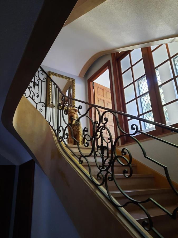 Le Clos Des Soyeux Saint-Victor-sur-Rhins エクステリア 写真