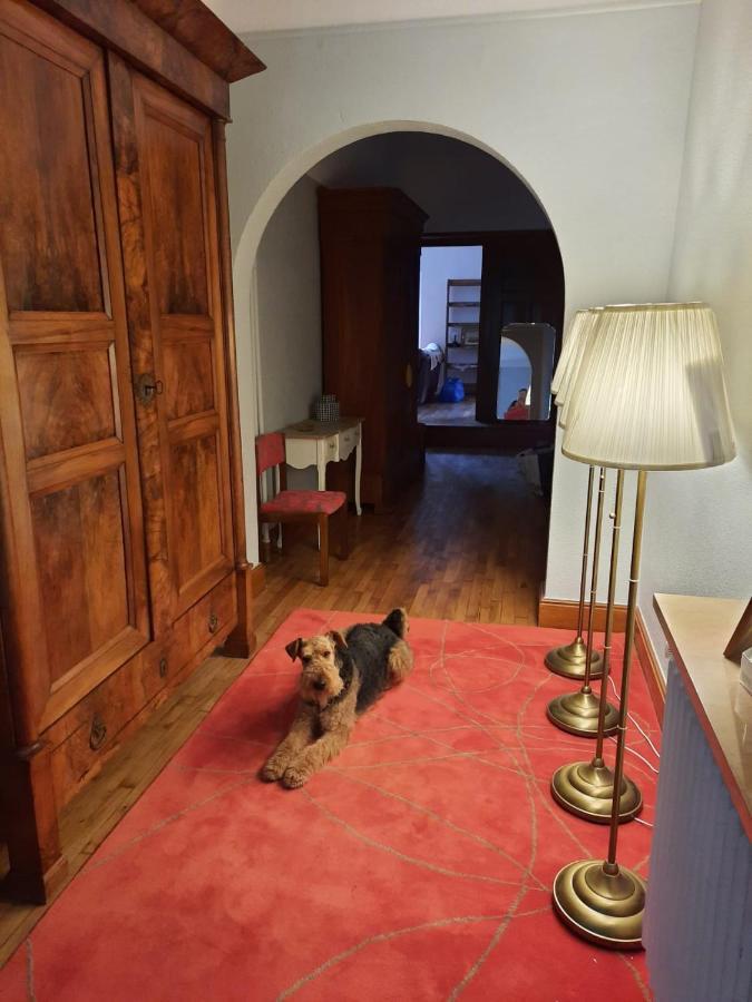 Le Clos Des Soyeux Saint-Victor-sur-Rhins エクステリア 写真