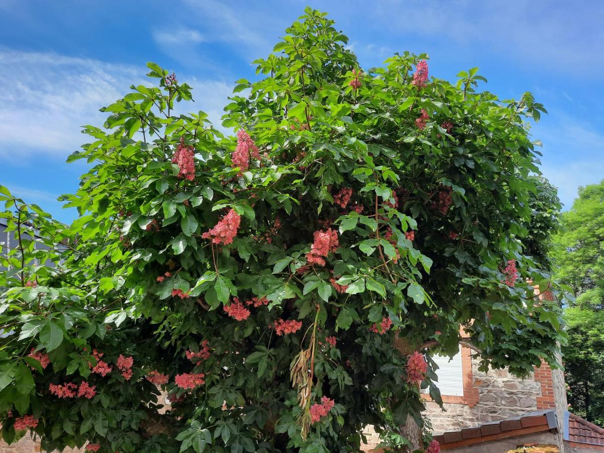 Le Clos Des Soyeux Saint-Victor-sur-Rhins エクステリア 写真