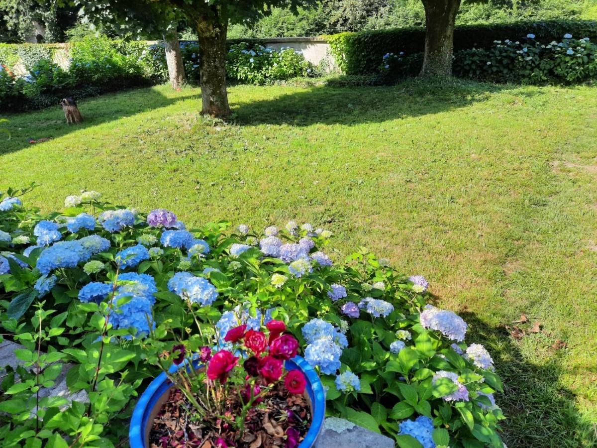 Le Clos Des Soyeux Saint-Victor-sur-Rhins エクステリア 写真