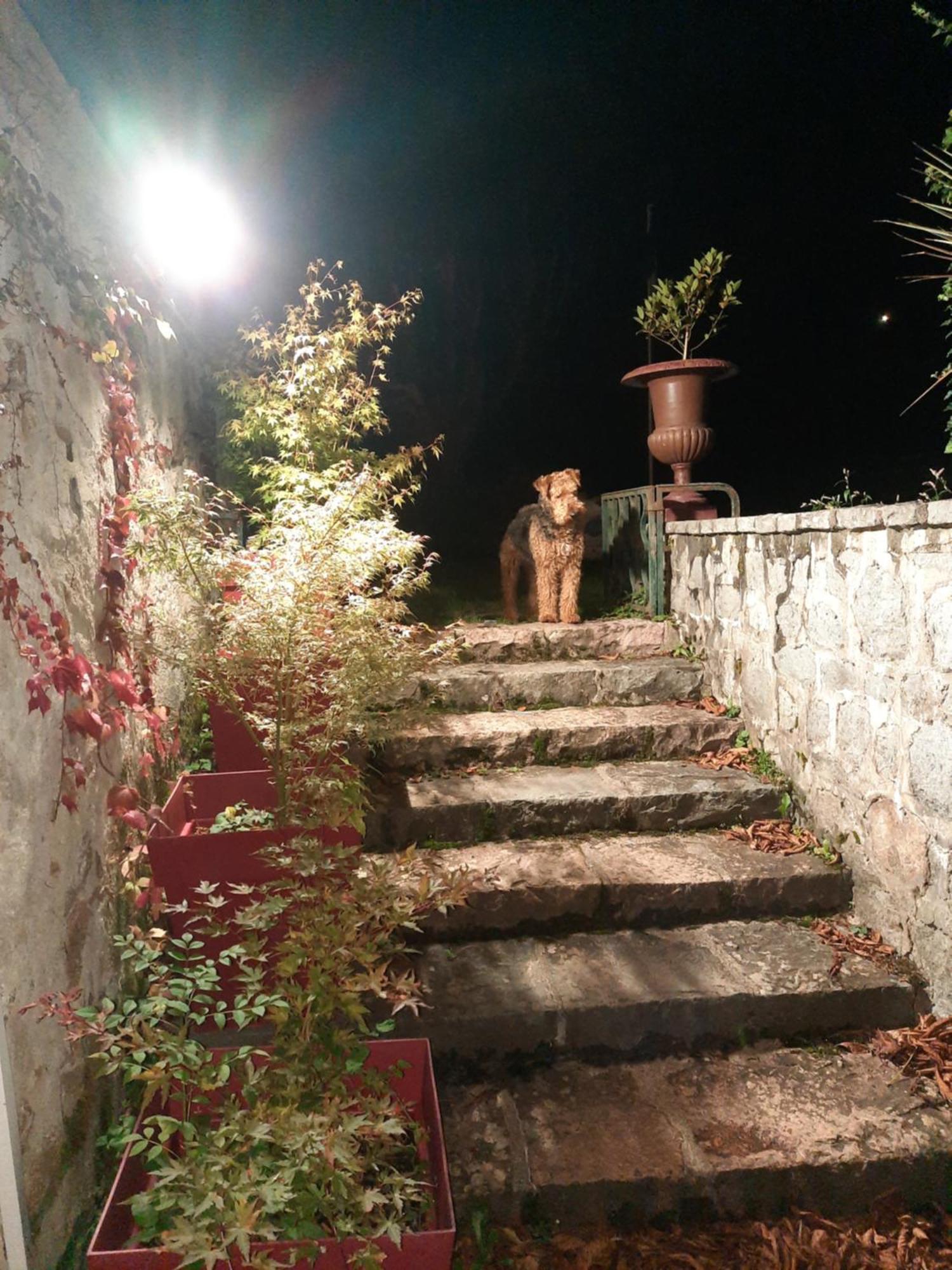 Le Clos Des Soyeux Saint-Victor-sur-Rhins エクステリア 写真